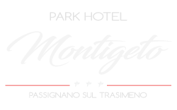 Park Hotel Montigeto